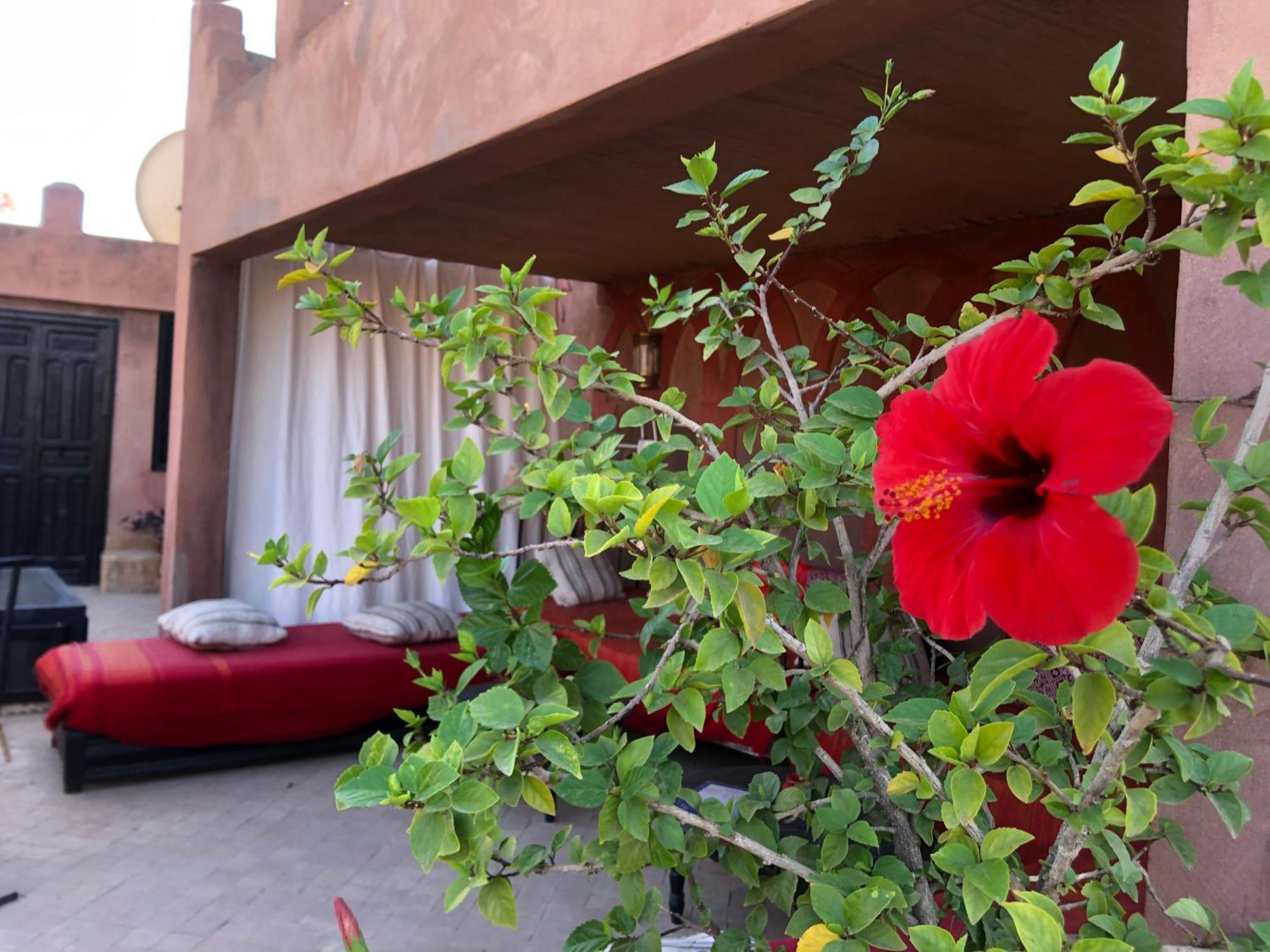 Dar Fangui Hotel Marraquexe Exterior foto